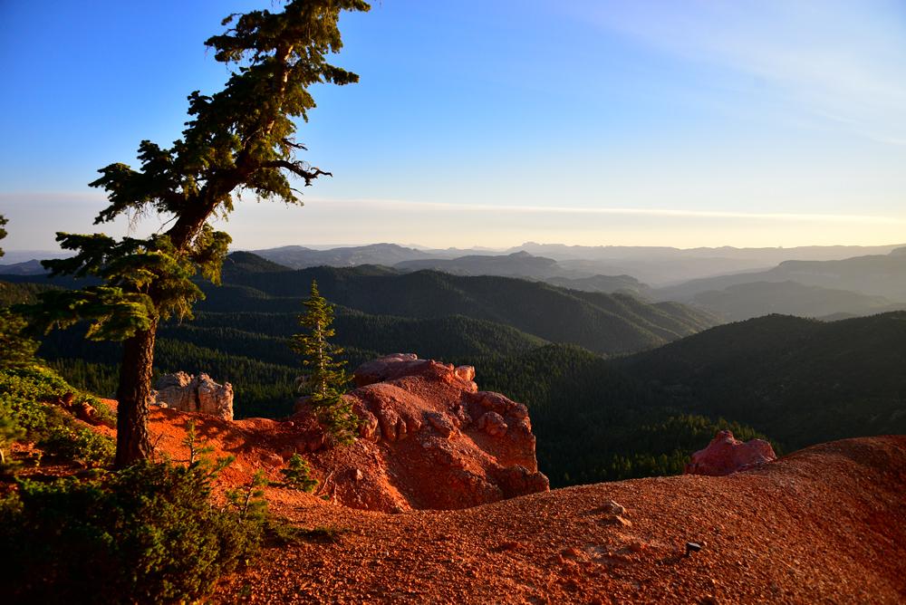 Zennest’s Unique Approach to Remote Living
