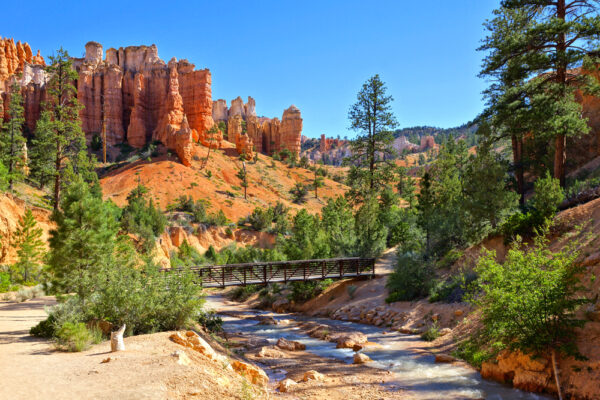 Family Fishing Spots in Southern Utah’s Lakes