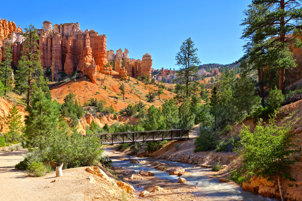Family Fishing Spots in Southern Utah’s Lakes