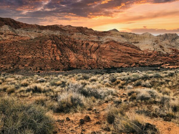 Autumn Photo Spots for Family Portraits in Southern Utah: Capturing the Season's Beauty