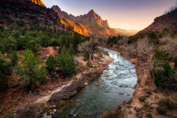 Family Yoga and Wellness Activities in Southern Utah: Finding Peace in Nature's Beauty