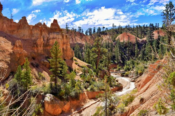 Embracing Tranquility: Mindful Walks to Enjoy Nature's Transition into Fall