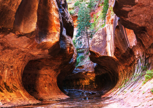 utah's slot canyons