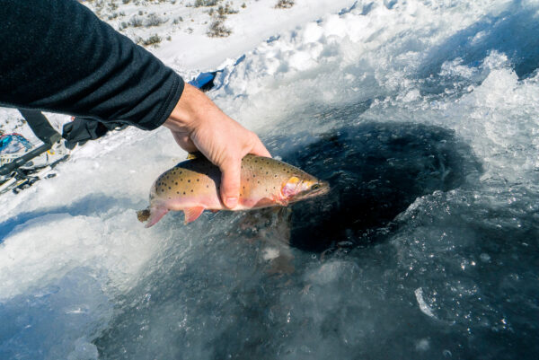 unique winter adventures