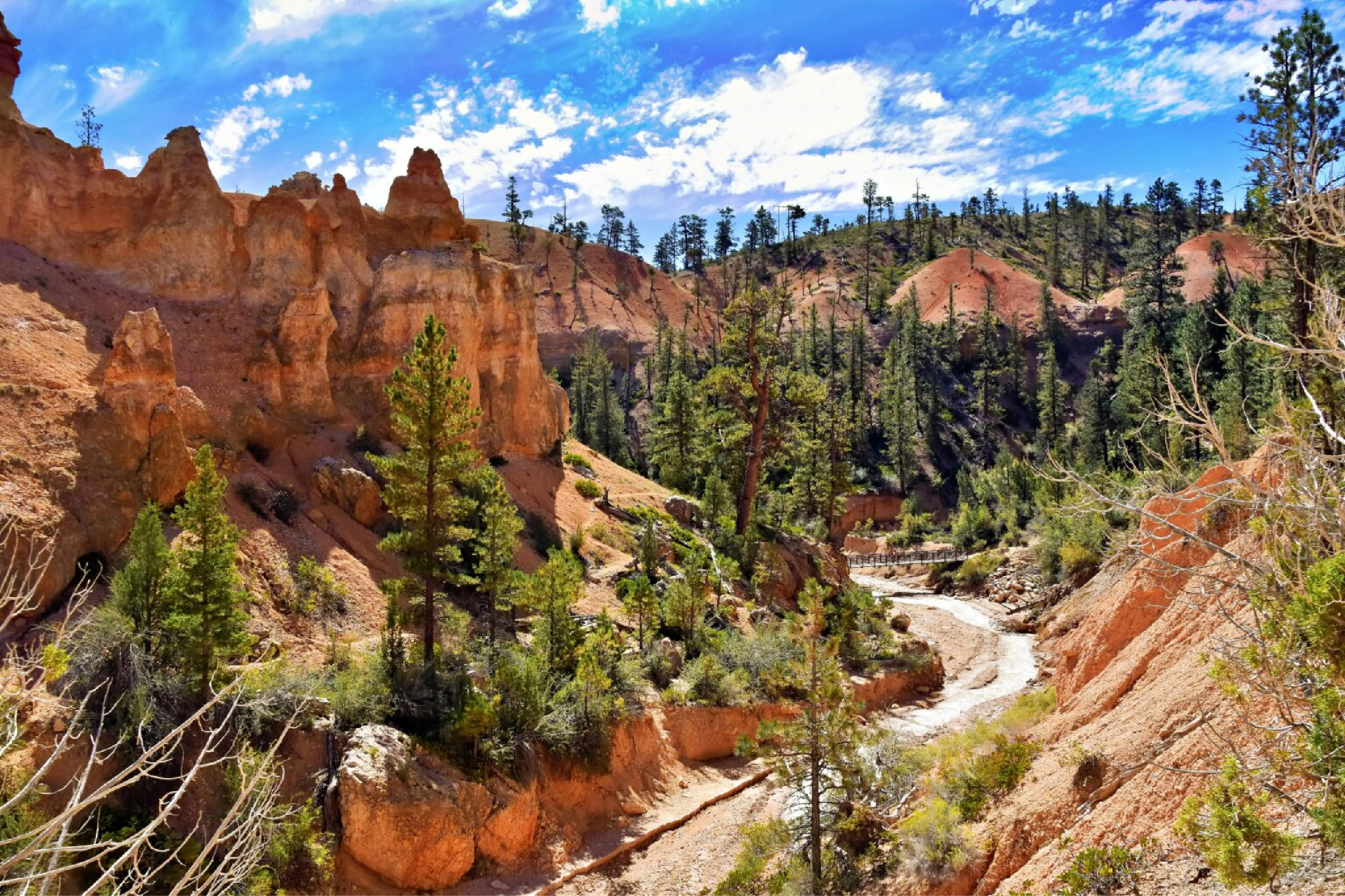 2560x1707-02