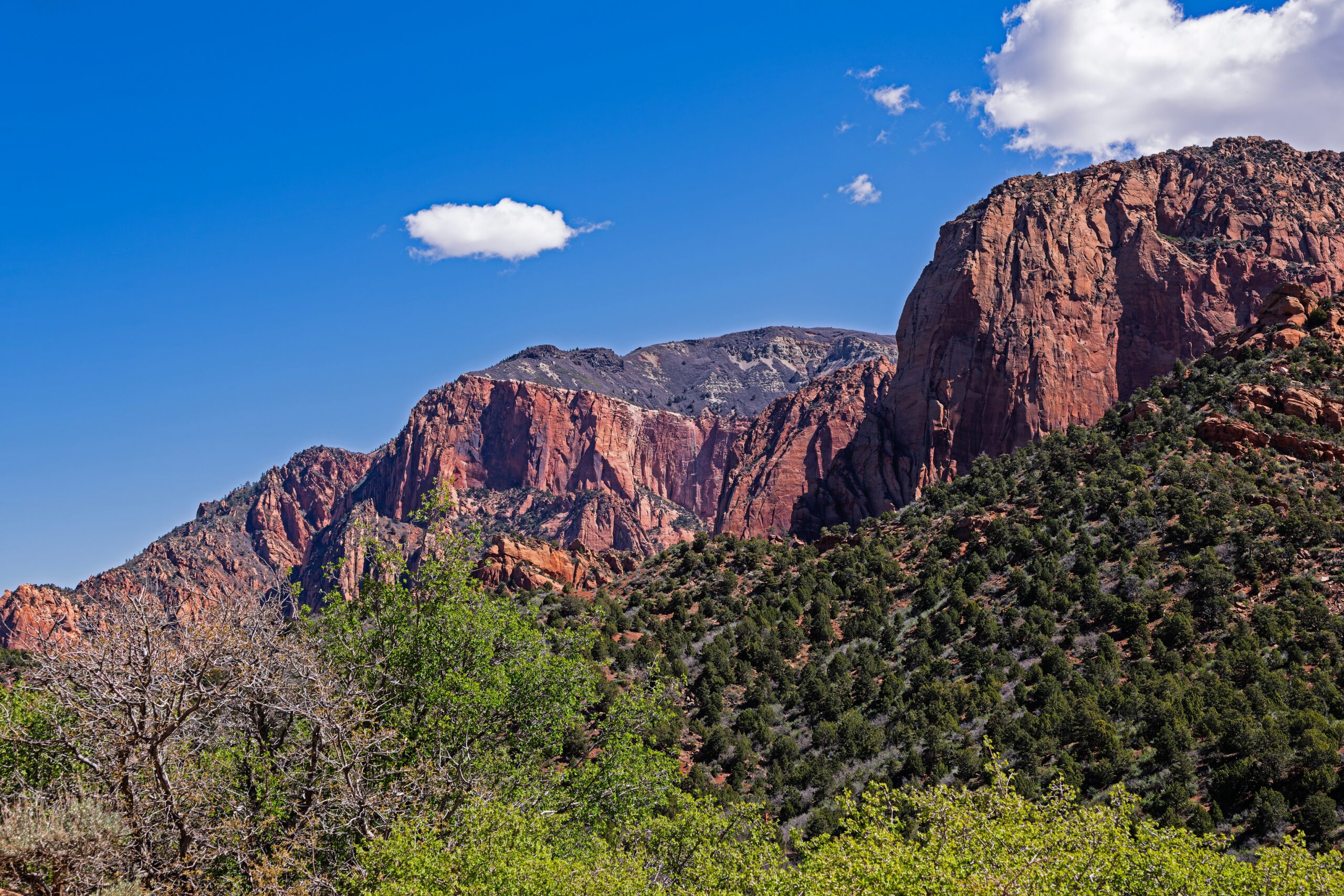 Red,Sandstone,Cliffs,In,Southern,Utah,Near,St.,George,Near